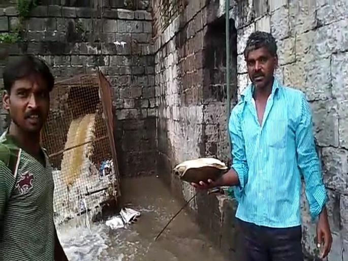 Video - Tissue caught in a pond nets got life | Video - तलावाच्या जाळीत अडकलेल्या कासवाला असे मिळाले जीवनदान