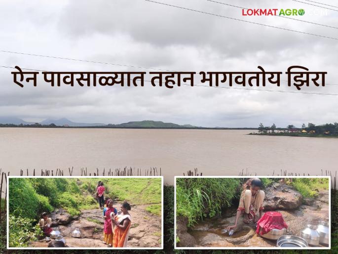 Latest news During rainy season women are fetching water from cumin in kashyapi gangapur dam | Water Scarcity : ऐन पावसाळ्यात 'या' महिला झिऱ्यावरचं पाणी का भरत आहेत? वाचा सविस्तर  Latest news During rainy season women are fetching water from cumin in kashyapi gangapur dam | Water Scarcity : ऐन पावसाळ्यात 'या' महिला झिऱ्यावरचं पाणी का भरत आहेत? वाचा सविस्तर