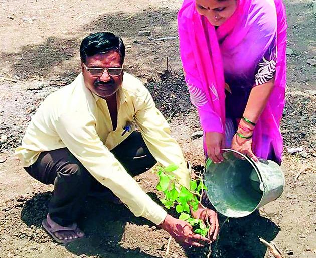 Plantation done on birthday | वाढदिवशी केले जाते वृक्षारोपण Plantation done on birthday | वाढदिवशी केले जाते वृक्षारोपण