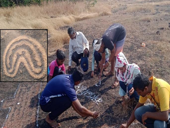 The youth of Sadye in Ratnagiri discovered a treasure of carvings | Ratnagiri: दिवाळीत तरुणांची भटकंती, शोधला कातळशिल्पांचा खजिना
