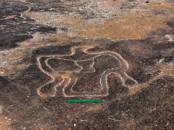 More than 60 Paleolithic carvings in Rajapur | राजापुरात ६० हून अधिक अश्मयुगीन कातळशिल्पे More than 60 Paleolithic carvings in Rajapur | राजापुरात ६० हून अधिक अश्मयुगीन कातळशिल्पे