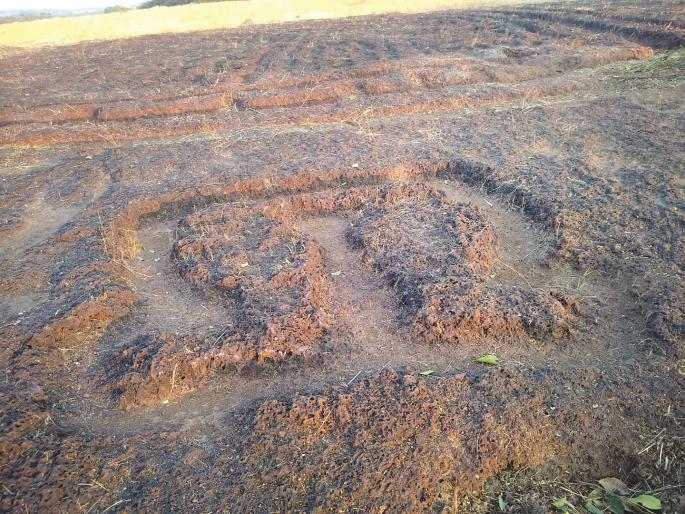 Largest carving sculpture found in Devgad Ratnagiri district | Ratnagiri News: देवगडमध्ये सापडले सर्वात मोठे कातळशिल्प