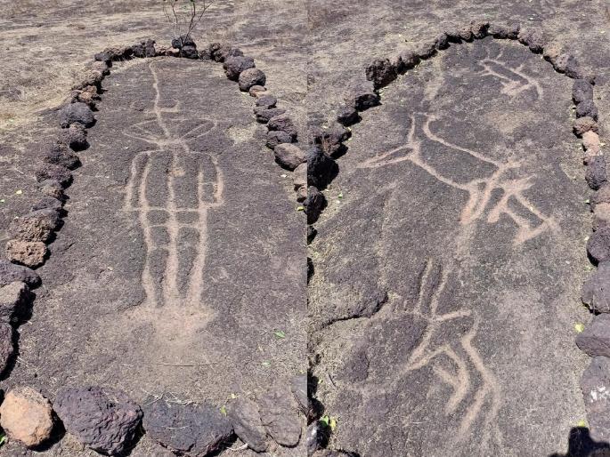 10,000 year old carvings found in Dapoli, curiosity about alien like carvings | Ratnagiri: दापोलीत आढळले दहा हजार वर्षापूर्वीचे कातळशिल्प, एलियनसदृश्य कातळशिल्पाबाबत कुतूहल 10,000 year old carvings found in Dapoli, curiosity about alien like carvings | Ratnagiri: दापोलीत आढळले दहा हजार वर्षापूर्वीचे कातळशिल्प, एलियनसदृश्य कातळशिल्पाबाबत कुतूहल