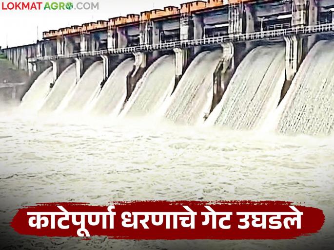 latest news Katepurna Dam Water Release: Eight gates of Katepurna Dam opened; How many cumex of water is being released? Read in detail | Katepurna Dam Water Release : काटेपूर्णा धरणाचे आठ गेट उघडले; किती क्युमेक्स पाण्याचा विसर्ग सुरू वाचा सविस्तर latest news Katepurna Dam Water Release: Eight gates of Katepurna Dam opened; How many cumex of water is being released? Read in detail | Katepurna Dam Water Release : काटेपूर्णा धरणाचे आठ गेट उघडले; किती क्युमेक्स पाण्याचा विसर्ग सुरू वाचा सविस्तर
