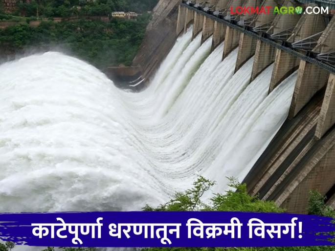 latest news Katepurna Dam Water Level: Heavy rain in Katepurna Dam area; All 10 gates opened simultaneously for the first time! | Katepurna Dam Water Level : काटेपूर्णा धरण परिसरात मुसळधार पाऊस; सर्व १० दरवाजे प्रथमच एकाच वेळी उघडले! वाचा सविस्तर latest news Katepurna Dam Water Level: Heavy rain in Katepurna Dam area; All 10 gates opened simultaneously for the first time! | Katepurna Dam Water Level : काटेपूर्णा धरण परिसरात मुसळधार पाऊस; सर्व १० दरवाजे प्रथमच एकाच वेळी उघडले! वाचा सविस्तर