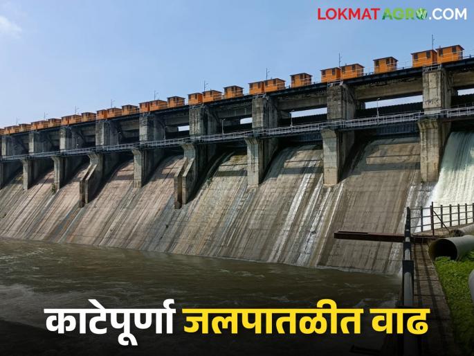 latest news Katepurna Dam Water: Katepurna 43% filled, Nirguna overflows; Farmers' faces revealed | Katepurna Dam Water : काटेपूर्णा ४३% भरले, निर्गुणा ओव्हरफ्लो; शेतकऱ्यांचे चेहरे खुलले