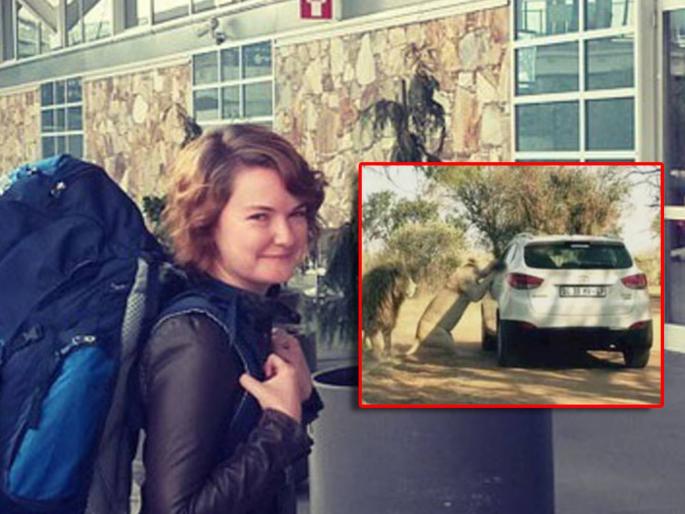 game of thrones 29 years old editor died in lion attacked after clicking photo | धक्कादायक! फोटो काढताच सिंहाने कारच्या खिडकीतून हल्ला केला अन् लचका तोडला; २९ वर्षीय फिल्म एडिटरचा मृत्यू game of thrones 29 years old editor died in lion attacked after clicking photo | धक्कादायक! फोटो काढताच सिंहाने कारच्या खिडकीतून हल्ला केला अन् लचका तोडला; २९ वर्षीय फिल्म एडिटरचा मृत्यू