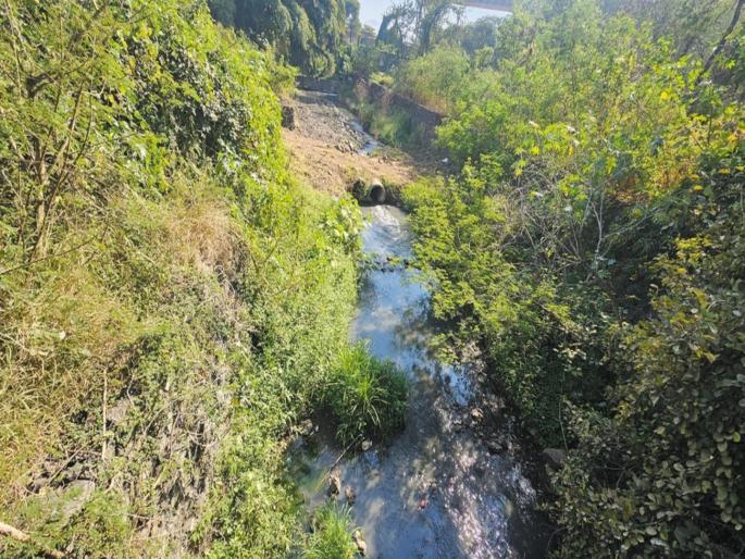 pune news Irregularities in the sewage disposal project in Katraj Zoological Museum pond | कात्रज प्राणी संग्रहालय तलावातील मलनिस्सारण प्रकल्पात अनियमितता pune news Irregularities in the sewage disposal project in Katraj Zoological Museum pond | कात्रज प्राणी संग्रहालय तलावातील मलनिस्सारण प्रकल्पात अनियमितता