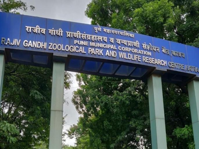 Free entry to Rajiv Gandhi Zoological Museum for children up to eight years, Municipal Corporation's decision | Pune: आठ वर्षांपर्यंतच्या मुलांना राजीव गांधी प्राणी संग्रहालयात माेफत प्रवेश, महापालिकेचा निर्णय Free entry to Rajiv Gandhi Zoological Museum for children up to eight years, Municipal Corporation's decision | Pune: आठ वर्षांपर्यंतच्या मुलांना राजीव गांधी प्राणी संग्रहालयात माेफत प्रवेश, महापालिकेचा निर्णय