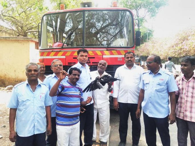 When he was released, he was stranded on 40 feet | सुटका होताच ४० फुटांवर मांजात अडकलेला कावळा हवेत झेपावला