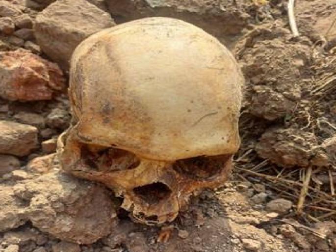 Farmer finds human skull near Kaneri Math in Kolhapur | कोल्हापुरातील कणेरी मठाजवळ शेतकऱ्याला आढळली मानवी कवटी, अनेक तर्कवितर्क  Farmer finds human skull near Kaneri Math in Kolhapur | कोल्हापुरातील कणेरी मठाजवळ शेतकऱ्याला आढळली मानवी कवटी, अनेक तर्कवितर्क
