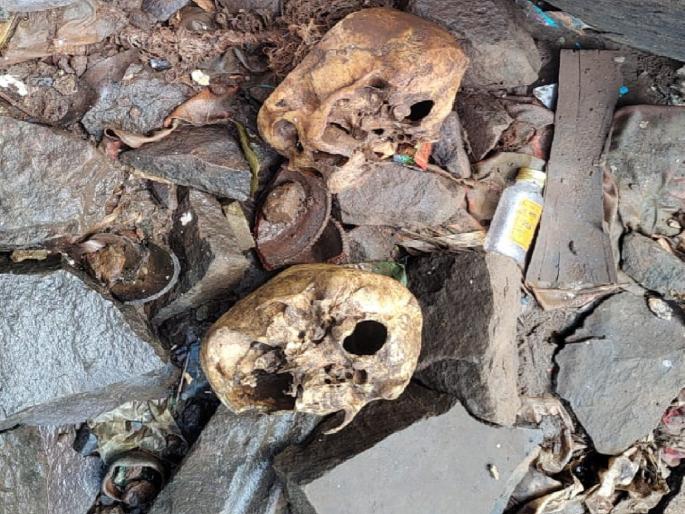 Human skulls found in Dudhganga riverbed in siddhanerli Kolhapur district , excitement in the area | Kolhapur News: सिध्दनेर्लीत दुधगंगा नदीपात्रात सापडल्या मानवी कवट्या, परिसरात उडाली खळबळ Human skulls found in Dudhganga riverbed in siddhanerli Kolhapur district , excitement in the area | Kolhapur News: सिध्दनेर्लीत दुधगंगा नदीपात्रात सापडल्या मानवी कवट्या, परिसरात उडाली खळबळ