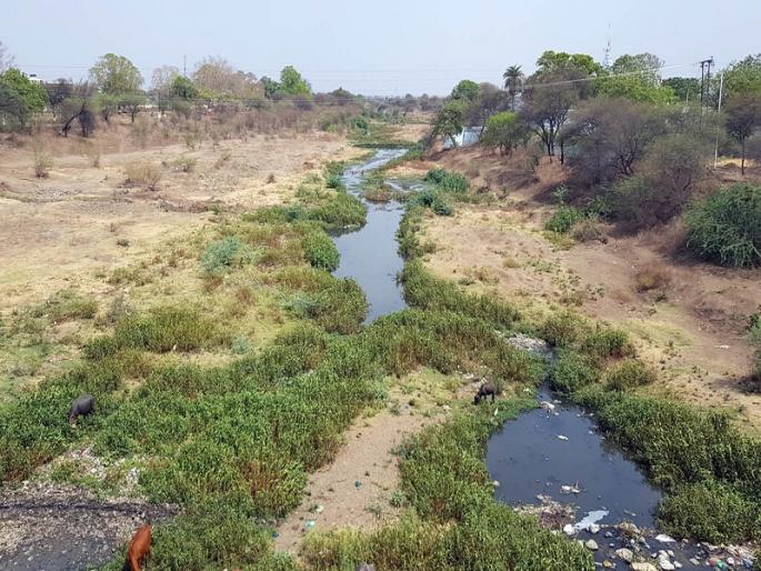 movement in Hingoli for 'Kyaadhoo' river | ‘कयाधू’साठी हिंगोलीत जलचळवळ movement in Hingoli for 'Kyaadhoo' river | ‘कयाधू’साठी हिंगोलीत जलचळवळ