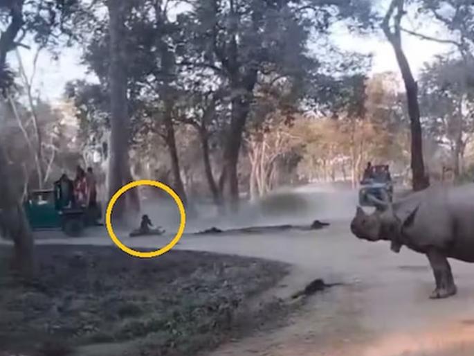 Myleki fell in front of a rhino during a jeep safari in Kaziranga National Park, then... | काझीरंगामध्ये सफारीदरम्यान जीपमधून खाली पडल्या मायलेकी, समोर उभे होते गेंडे, त्यानंतर... Myleki fell in front of a rhino during a jeep safari in Kaziranga National Park, then... | काझीरंगामध्ये सफारीदरम्यान जीपमधून खाली पडल्या मायलेकी, समोर उभे होते गेंडे, त्यानंतर...