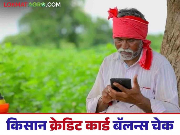 Latest News Agriculture News Kisan Credit Card How to check Kisan Credit Card balance Know in detail | Kisan Credit Card Balance : किसान क्रेडिट कार्डचा बॅलन्स चेक कसा करायचा? जाणून घ्या सविस्तर  Latest News Agriculture News Kisan Credit Card How to check Kisan Credit Card balance Know in detail | Kisan Credit Card Balance : किसान क्रेडिट कार्डचा बॅलन्स चेक कसा करायचा? जाणून घ्या सविस्तर