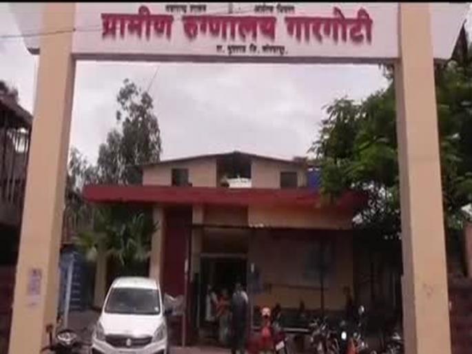 84 people poisoned by offerings at Naganwadi | नागणवाडी येथे प्रसादातून ८४ जणांना विषबाधा 84 people poisoned by offerings at Naganwadi | नागणवाडी येथे प्रसादातून ८४ जणांना विषबाधा