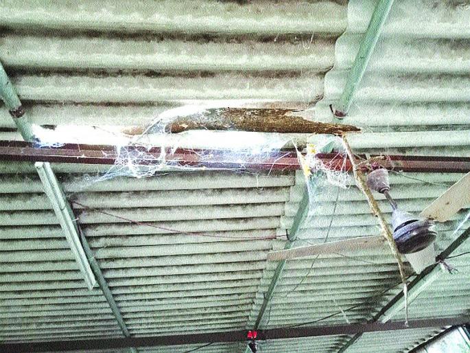 Dissection Center Died; The bodies of the dead are in danger, even the lives of doctors | शवविच्छेदन केंद्र मरणासन्न; मृतदेहांची होतेय फरफट, डॉक्टरांचाही जीव धोक्यात Dissection Center Died; The bodies of the dead are in danger, even the lives of doctors | शवविच्छेदन केंद्र मरणासन्न; मृतदेहांची होतेय फरफट, डॉक्टरांचाही जीव धोक्यात