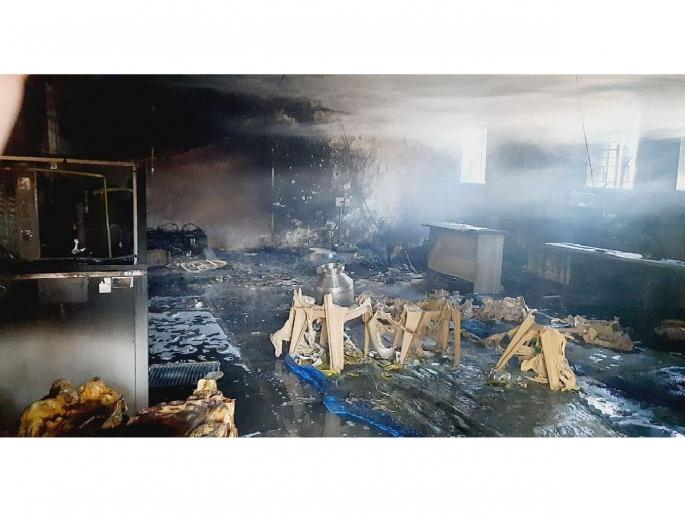 Sitafruit and Jambhul processing plant in Ramgarh burnt down; A loss of 30 lakhs | रामगडातील सीताफळ व जांभूळ प्रक्रिया प्रकल्प जळून खाक; ३० लाख रुपयांचे नुकसान Sitafruit and Jambhul processing plant in Ramgarh burnt down; A loss of 30 lakhs | रामगडातील सीताफळ व जांभूळ प्रक्रिया प्रकल्प जळून खाक; ३० लाख रुपयांचे नुकसान