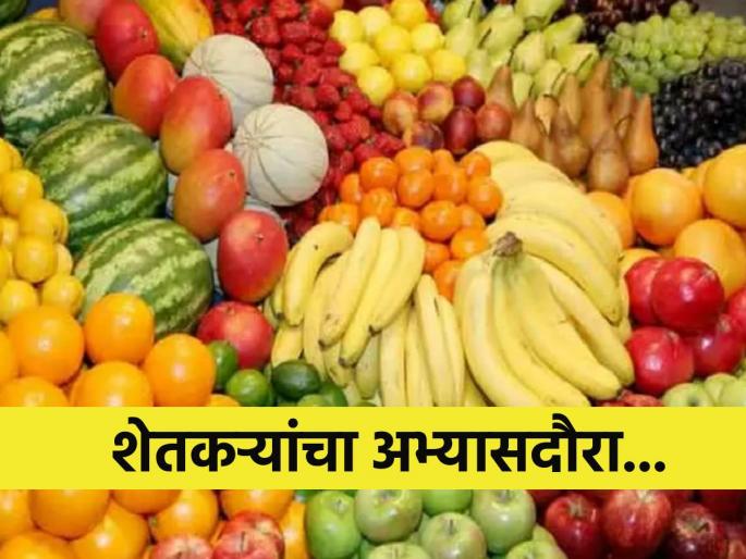 Are you a horticulturist? Study tour of farmers outside the state, where to register? | फलोत्पादक आहात? शेतकऱ्यांचा राज्याबाहेर जाणार अभ्यास दौरा, कुठे कराल नोंदणी? Are you a horticulturist? Study tour of farmers outside the state, where to register? | फलोत्पादक आहात? शेतकऱ्यांचा राज्याबाहेर जाणार अभ्यास दौरा, कुठे कराल नोंदणी?