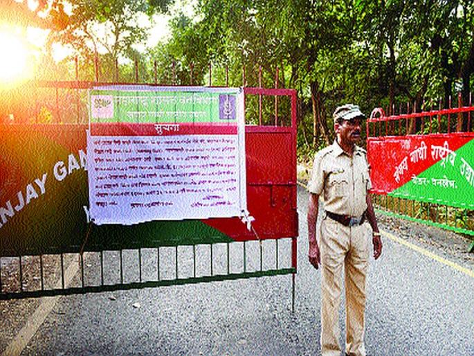 In Asher there will be a night halt; Notice to turf club owners | येऊरमध्ये रात्रीचा धिंगाणा थांबणार; टर्फ क्लबमालकांना नोटिसा In Asher there will be a night halt; Notice to turf club owners | येऊरमध्ये रात्रीचा धिंगाणा थांबणार; टर्फ क्लबमालकांना नोटिसा