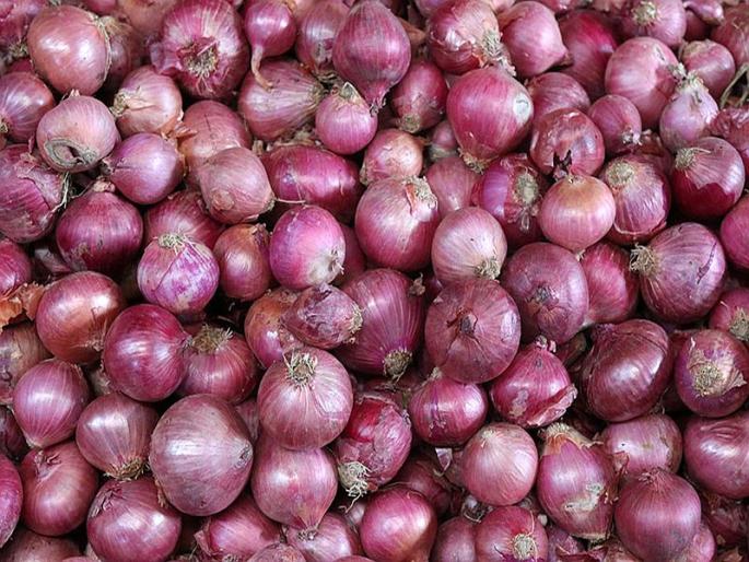 Onion prices fall; Soon within under hundred rupess | कांद्याच्या दरात घसरण; लवकरच दर शंभरीच्या आत Onion prices fall; Soon within under hundred rupess | कांद्याच्या दरात घसरण; लवकरच दर शंभरीच्या आत