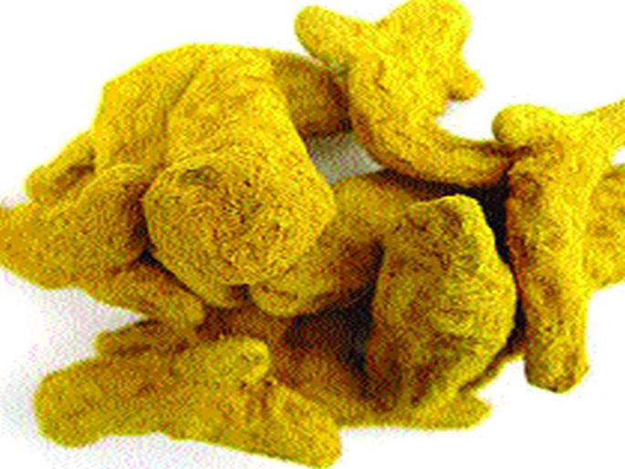 The ‘curcumin’ component in turmeric has the ability to kill the corona virus | हळदीमधील ‘करक्युमीन’ घटकात आहे कोरोना विषाणू मारक क्षमता The ‘curcumin’ component in turmeric has the ability to kill the corona virus | हळदीमधील ‘करक्युमीन’ घटकात आहे कोरोना विषाणू मारक क्षमता