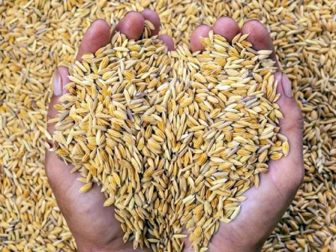 5 Crore 72 Lakh Paddy Scam in Gondia District; A case has been registered against the employees including the director of the organization | बापरे! तब्बल ५ कोटी ७२ लाखांचा धान घोटाळा; संचालकासह कर्मचाऱ्यांवर गुन्हा दाखल 5 Crore 72 Lakh Paddy Scam in Gondia District; A case has been registered against the employees including the director of the organization | बापरे! तब्बल ५ कोटी ७२ लाखांचा धान घोटाळा; संचालकासह कर्मचाऱ्यांवर गुन्हा दाखल