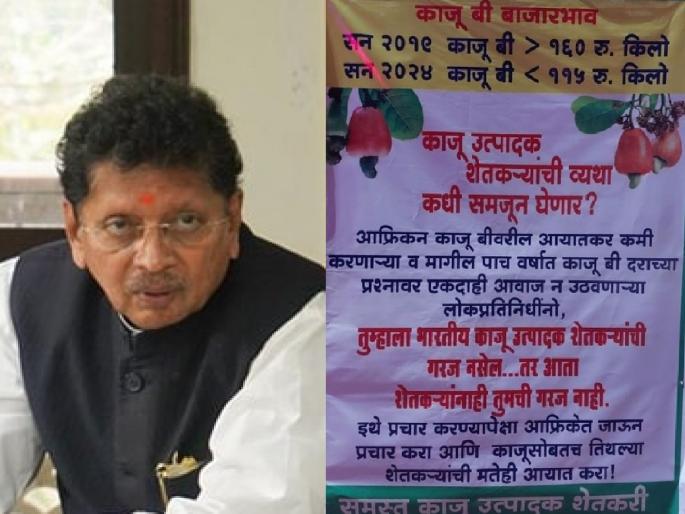 The work of Uddhav Sena to put up board regarding cashew growers, Deepak Kesarkar allegation | 'तो' फलक लावण्याचे काम उद्धव सेनेचे, दीपक केसरकर यांचा आरोप The work of Uddhav Sena to put up board regarding cashew growers, Deepak Kesarkar allegation | 'तो' फलक लावण्याचे काम उद्धव सेनेचे, दीपक केसरकर यांचा आरोप