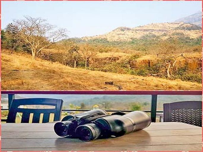 Third eye! | तिसरा डोळा! Third eye! | तिसरा डोळा!