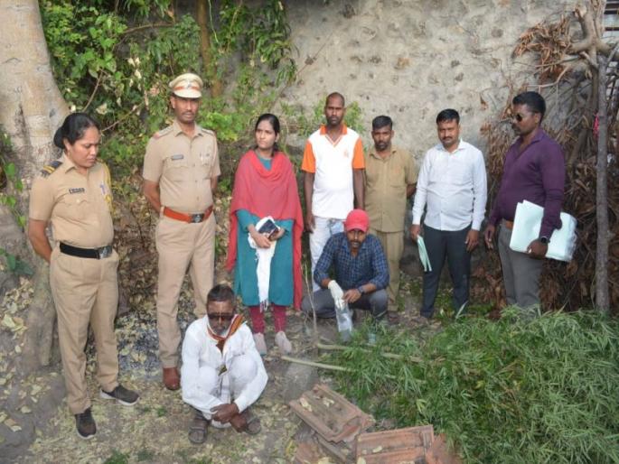 Cultivation of Cannabis in Kuswade; Sale in Nagthana, Borgaon police raid | कुसवडेत गांजाची लागवड; नागठाणेत विक्री, बोरगाव पोलिसांची धडक कारवाई Cultivation of Cannabis in Kuswade; Sale in Nagthana, Borgaon police raid | कुसवडेत गांजाची लागवड; नागठाणेत विक्री, बोरगाव पोलिसांची धडक कारवाई