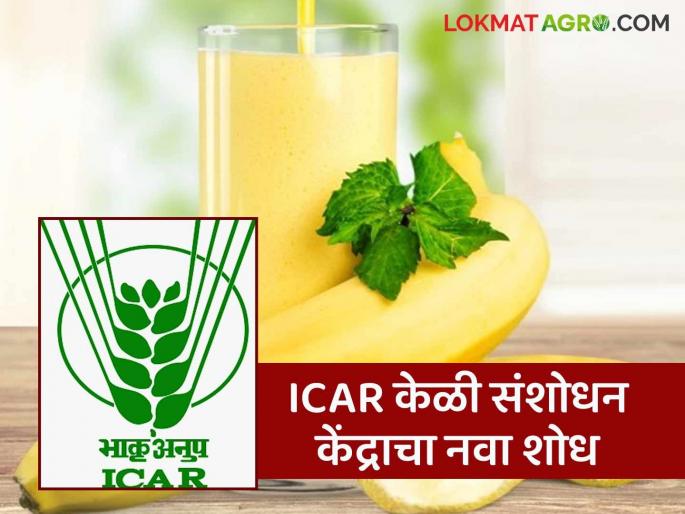 Latest News New patent of ICAR, make basil seed banana juice that lasts for six months | ICAR Banana Juice : आयसीएआरच्या नावावर नवे पेटंट, सहा महिने टिकणारा केळीचा ज्यूस बनवला!