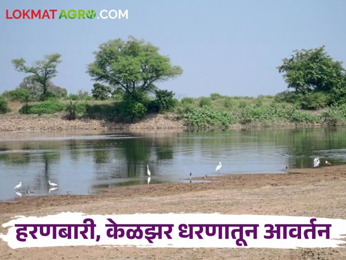 Latest News last water circulation from Kelzar and haranbari Dam of nashik district | Water Discharged : हरणबारी, केळझर धरणातून अखेरचे आवर्तन, 'या' गावांना मिळणार पाणी Latest News last water circulation from Kelzar and haranbari Dam of nashik district | Water Discharged : हरणबारी, केळझर धरणातून अखेरचे आवर्तन, 'या' गावांना मिळणार पाणी