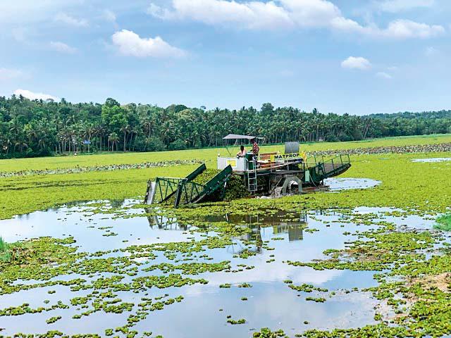 The live story of the life story of a lake in Kerala | एका तलावाची ‘जीवनदायी’ कथा.