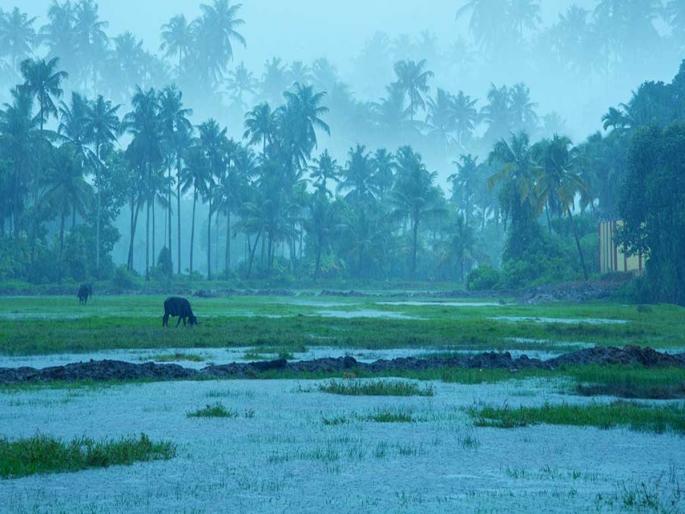 Good news! 1 day before Monsoon in Kerala; There will be more than average rainfall in 'this' part of the country | खुशखबर! १ दिवस आधीच मान्सून केरळात; देशातील 'या' भागात सरासरीपेक्षा जास्त पाऊस पडणार Good news! 1 day before Monsoon in Kerala; There will be more than average rainfall in 'this' part of the country | खुशखबर! १ दिवस आधीच मान्सून केरळात; देशातील 'या' भागात सरासरीपेक्षा जास्त पाऊस पडणार