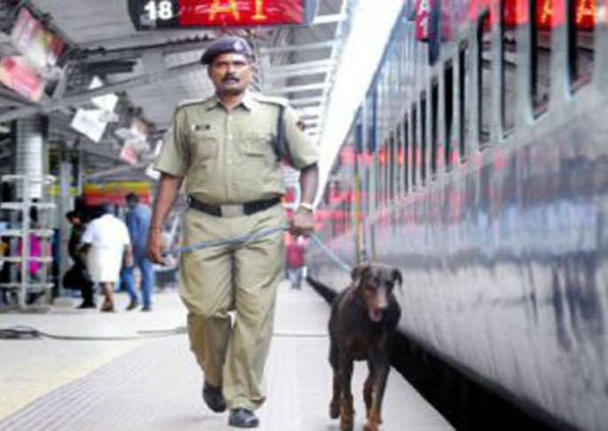 Solapur Railway Zone has only 220 police personnel for 10 thousand passengers! | सोलापूर रेल्वे विभागात १० हजार प्रवाशांसाठी केवळ २२० पोलीस! Solapur Railway Zone has only 220 police personnel for 10 thousand passengers! | सोलापूर रेल्वे विभागात १० हजार प्रवाशांसाठी केवळ २२० पोलीस!