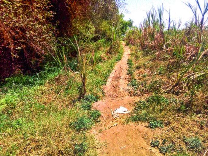 The tahsiladar ordered the road shut | तहसीलदारांनी आदेश देऊनही रस्ता बंद The tahsiladar ordered the road shut | तहसीलदारांनी आदेश देऊनही रस्ता बंद