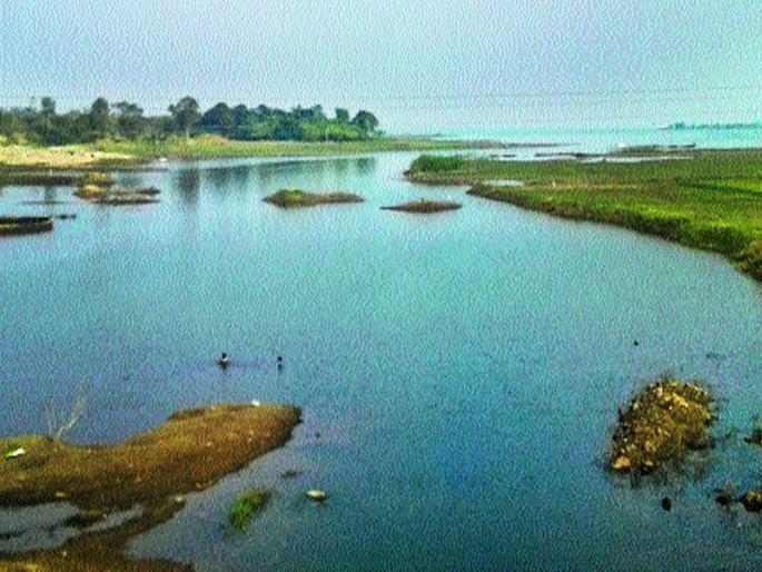 The issue of Uighi pollution is on the anvil | उजनीच्या प्रदूषणाचा मुद्दा ऐरणीवर The issue of Uighi pollution is on the anvil | उजनीच्या प्रदूषणाचा मुद्दा ऐरणीवर