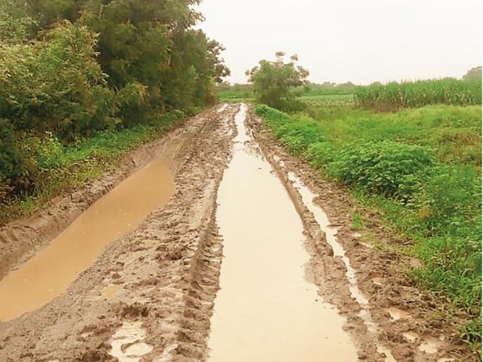 There is no road to Kesapuri village since independence | स्वातंत्र्यापासून केसापुरी गावाला रस्ताच नाही; ग्रामस्थांना निवडणुकीतच होते बसचे दर्शन There is no road to Kesapuri village since independence | स्वातंत्र्यापासून केसापुरी गावाला रस्ताच नाही; ग्रामस्थांना निवडणुकीतच होते बसचे दर्शन