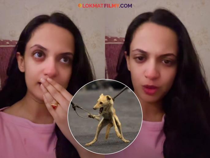 Ketaki Mategaonkar burst into tears after watching a video of her catching stray dogs, saying - "Like a chicken in a sack..." | भटक्या कुत्र्यांना पकडतानाचा व्हिडीओ पाहून केतकी माटेगावकरला कोसळलं रडू, म्हणाली - "पोत्यात कोंबल्यासारखं..."