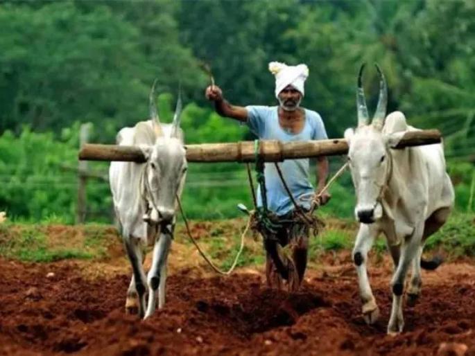 Name, of the Seventeen Farmers; The money is going to the center driver's account | नाव, सातबारा शेतकऱ्याचा; पैसा जातोय केंद्र चालकांच्या खात्यात Name, of the Seventeen Farmers; The money is going to the center driver's account | नाव, सातबारा शेतकऱ्याचा; पैसा जातोय केंद्र चालकांच्या खात्यात