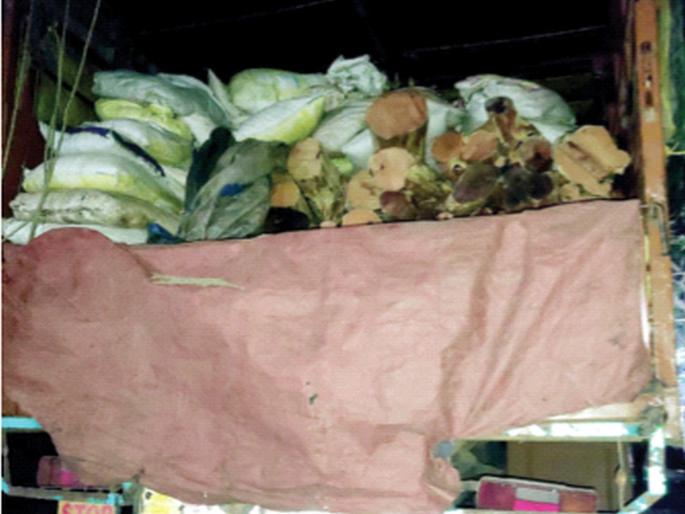 It has been revealed that Khaira is being smuggled in rice husks | भाताच्या तुसाच्या गोण्यांआड खैराची तस्करी होत असल्याचे उघड It has been revealed that Khaira is being smuggled in rice husks | भाताच्या तुसाच्या गोण्यांआड खैराची तस्करी होत असल्याचे उघड