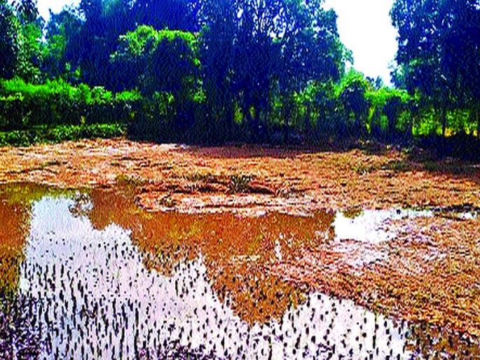 Heavy rains in Dahanu, Jawar | डहाणू, जव्हार येथे जोरदार अवकाळी पाऊस