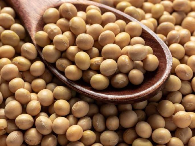Soybean Bajarbhav: Soybean price per quintal in this market committee in the morning session. | Soybean Bajarbhav: सकाळच्या सत्रात या बाजारसमितीत सोयाबीनचा दर क्विंटलमागे मिळतोय एवढा दर Soybean Bajarbhav: Soybean price per quintal in this market committee in the morning session. | Soybean Bajarbhav: सकाळच्या सत्रात या बाजारसमितीत सोयाबीनचा दर क्विंटलमागे मिळतोय एवढा दर