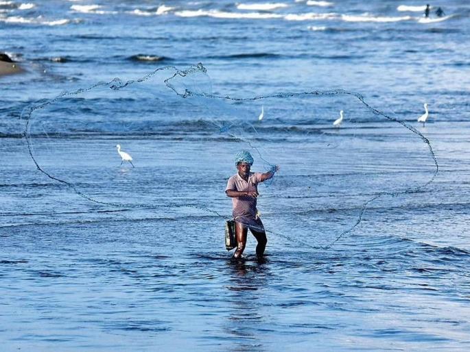 ONGC's survey of fishing; What about the damage? | मासेमारीला ओएनजीसीच्या सर्वेक्षणाची झळ; नुकसानीचे काय? ONGC's survey of fishing; What about the damage? | मासेमारीला ओएनजीसीच्या सर्वेक्षणाची झळ; नुकसानीचे काय?