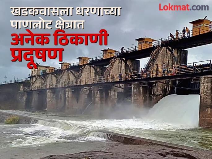 Shocking E colay bacteria found in Khadakwasla dam water turbidity invites diseases | धक्कादायक! खडकवासला धरणाच्या पाण्यात 'ई कोलाय' जिवाणू, गढूळपणाने आजारांना निमंत्रण Shocking E colay bacteria found in Khadakwasla dam water turbidity invites diseases | धक्कादायक! खडकवासला धरणाच्या पाण्यात 'ई कोलाय' जिवाणू, गढूळपणाने आजारांना निमंत्रण