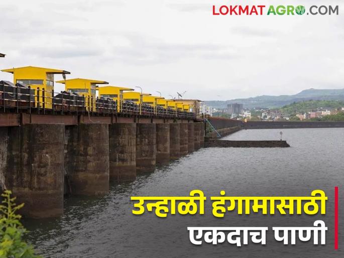60 thousand hectares of agriculture on Khadakwasla canal is in crisis | खडकवासला कालव्यावरील ६० हजार हेक्टर शेती संकटात