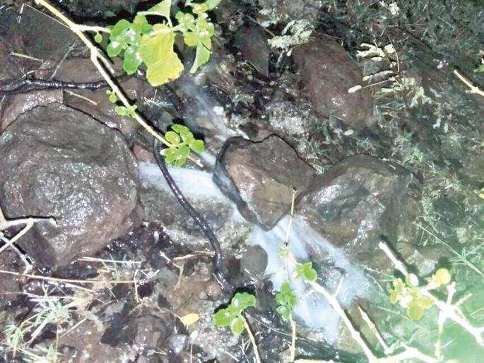 The Khadakwadi Gram Panchayat-employee-washed up the pipeline | खडकवाडी ग्रामपंचायतीच्या कर्मचा-यानेच फोडली पाइपलाइन The Khadakwadi Gram Panchayat-employee-washed up the pipeline | खडकवाडी ग्रामपंचायतीच्या कर्मचा-यानेच फोडली पाइपलाइन