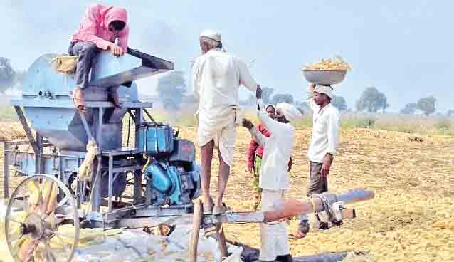 'Khaln Meal' or 'Dawa'; Extinct farm festival! | ‘खळं जेवण’ अथवा ‘डावरा’ ; नामशेष झालेला कृषी उत्सव ! 'Khaln Meal' or 'Dawa'; Extinct farm festival! | ‘खळं जेवण’ अथवा ‘डावरा’ ; नामशेष झालेला कृषी उत्सव !