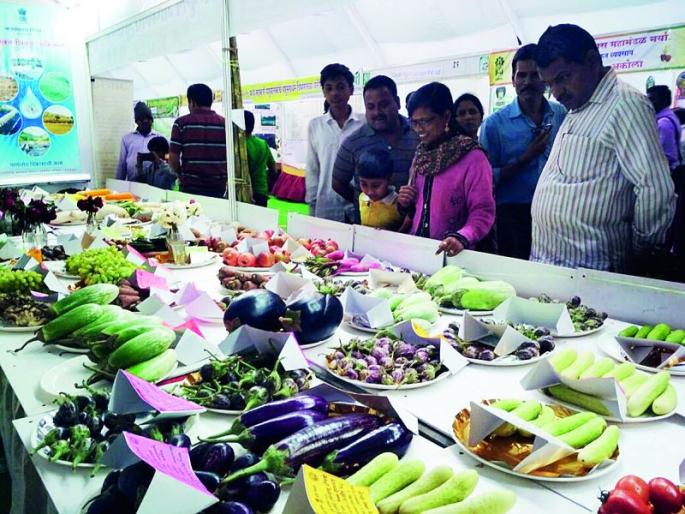 Justification for the Agriculture Festival! | कृषी महोत्सवाचे औचित्य! Justification for the Agriculture Festival! | कृषी महोत्सवाचे औचित्य!