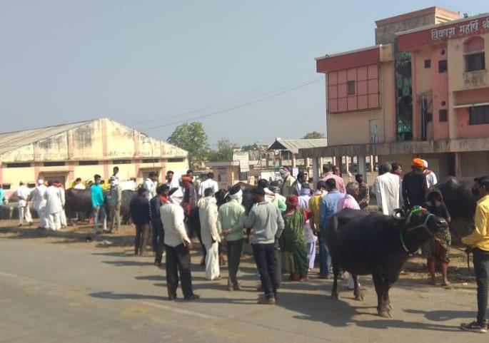 Crowds erupt in Corona curfew in Khamgaon | कोरोना संचारबंदीत कृउबासमध्ये उसळली गर्दी!